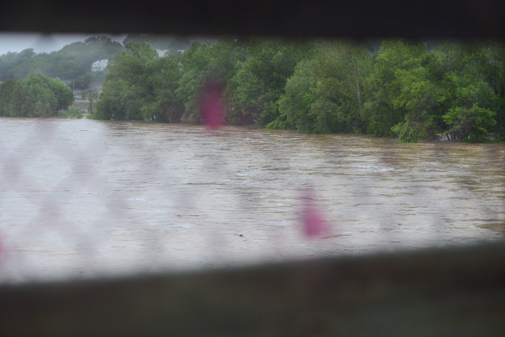 Flood 10.jpg